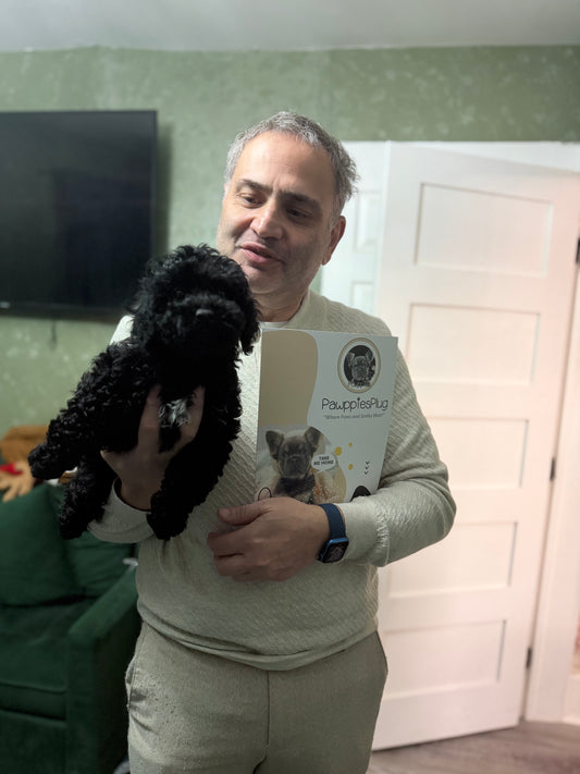 KAIYA (Mini Poodle)