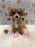 MILLY (Bichon-Poodle)