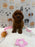 JENNY (Red AKC Toy Poodle)