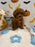 BENTLEY (AKC Toy Poodle)