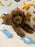 BAXTER (AKC Mini Poodle)