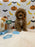 BRIAN (AKC Mini Poodle)