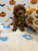 BAXTER (AKC Mini Poodle)
