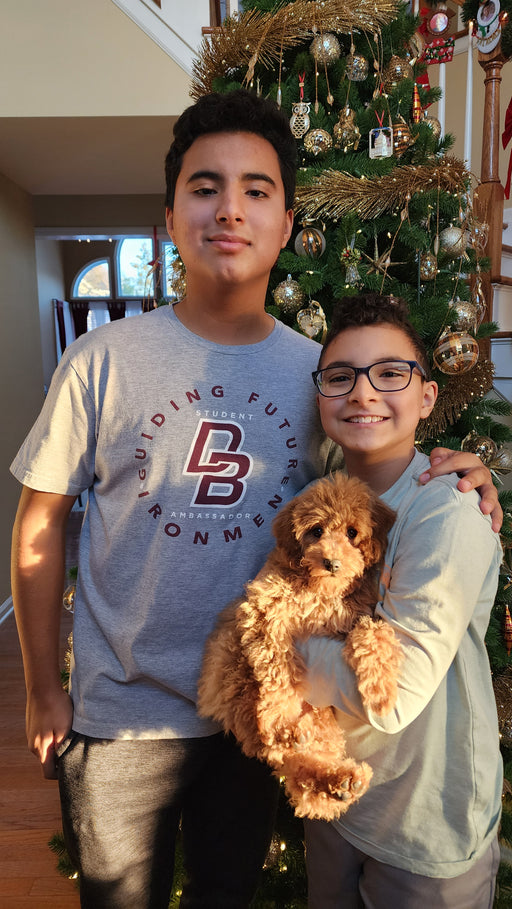 BEAN (Toy Poodle)
