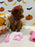 REYNA (ACA Mini Poodle)