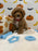 BRIAN (AKC Mini Poodle)