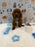 TITO (Red AKC Toy Poodle)