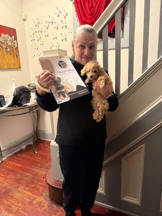 CAMILA (Bichon-Poodle)