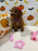REYNA (ACA Mini Poodle)