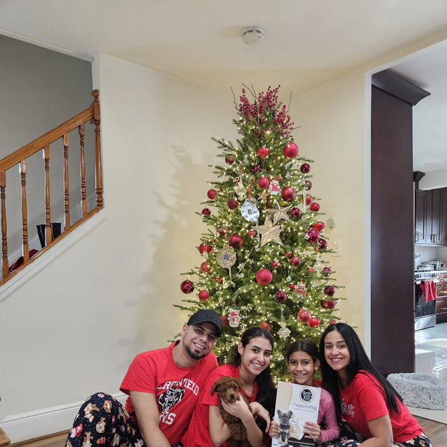 BENTLEY (Red AKC Toy Poodle)