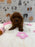 JENNY (Red AKC Toy Poodle)