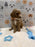ARON (Mini Poodle)