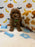 BAXTER (AKC Mini Poodle)