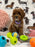 Angela (Miniature Poodle)