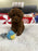 Aiden (Toy Poodle)