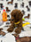 Andy (Miniature Poodle)