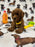 Andy (Miniature Poodle)