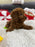 Ashton (Toy Poodle)