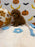BENTLEY (AKC Toy Poodle)