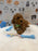 BRUNO (AKC Mini Poodle)