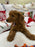 Baxter (Mini-Goldendoodle F1B)