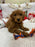 Baxter (Mini-Goldendoodle F1B)