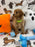 BERNIE (Miniature Poodle)