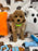 BERNIE (Miniature Poodle)