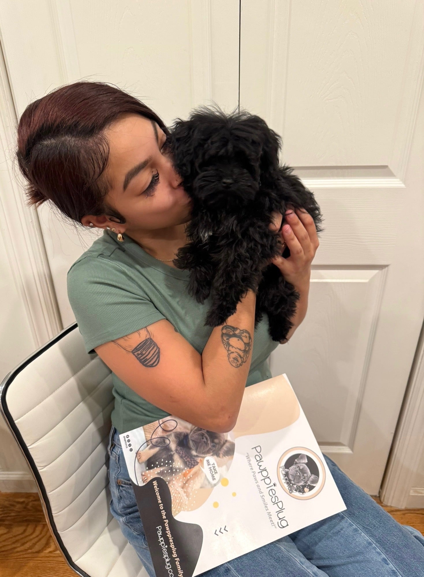 THEO (Teacup YorkiePoo)