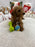 Bruno (Mini-Goldendoodle F1B)