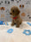 ANDY (Mini Poodle)