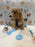 MILO (Bichon-Poodle)