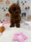 JENNY (Red AKC Toy Poodle)