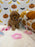 BAILEY (AKC Toy Poodle)