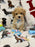 DUKE (Toy/Mini Bichon Poodle)
