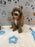 ARON (Mini Poodle)