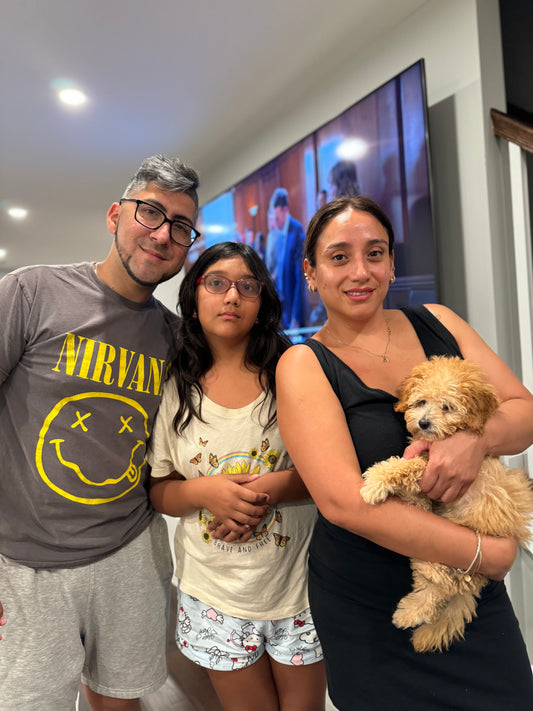 Lily  (Toy Poodle)
