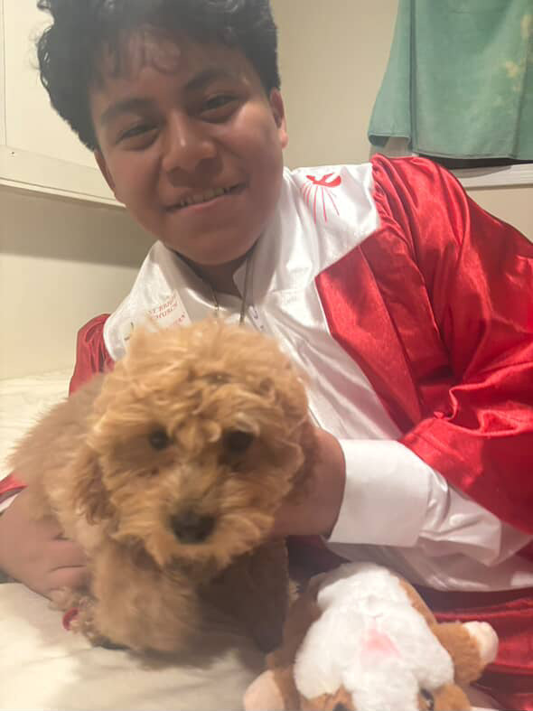 BERNIE (Miniature Poodle)