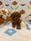 BENTLEY (AKC Toy Poodle)