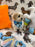 JAKE (Shichon - Teddy Bear)