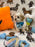 JAKE (Shichon - Teddy Bear)