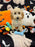 SCOOTER (Bichon Poodle)