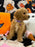 SELENA (Bichon-Poodle)