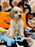 POLO (Bichon-Poodle)