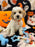 POLO (Bichon-Poodle)