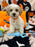 POLO (Bichon-Poodle)