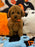 BENJO (Toy Poodle)
