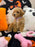CAMILA (Bichon-Poodle)