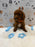 SAM (Mini Poodle)