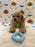 MILO (Bichon Poodle)